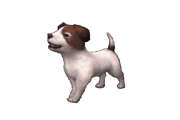 reviews