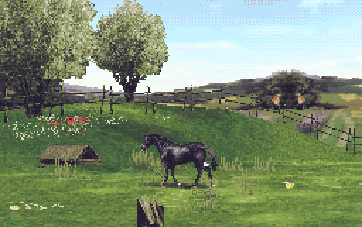 horselife